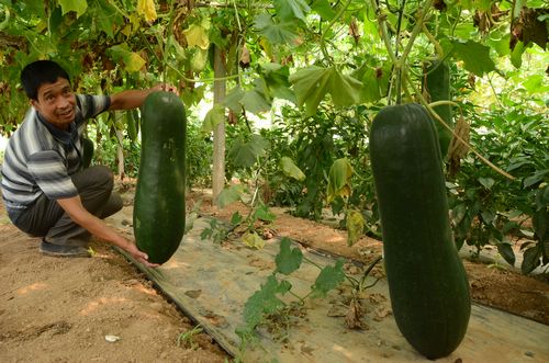 科學(xué)發(fā)展打造陜南強區(qū) 苦干實干建設(shè)幸福商州