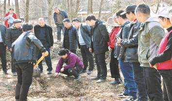 亳州玄參落戶頁(yè)山河