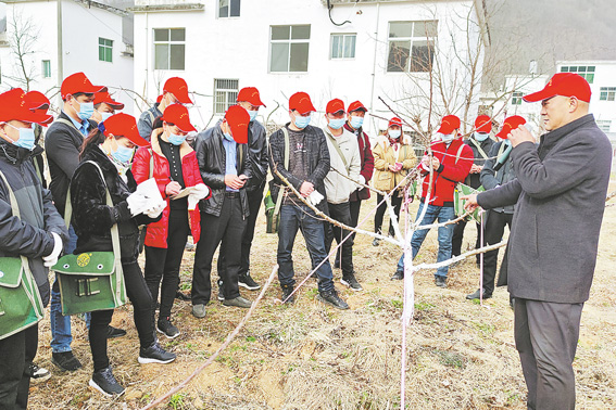 農(nóng)業(yè)科技服務“三農(nóng)”