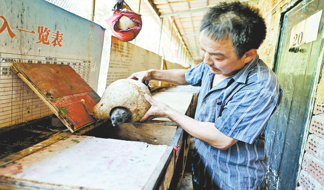銀花鎮(zhèn) 以產業(yè)先行賦能鄉(xiāng)村振興