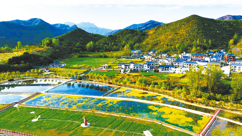 農(nóng)文旅融合，“融”出好光景