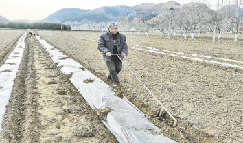 人勤春來(lái)早 田間農(nóng)事忙
