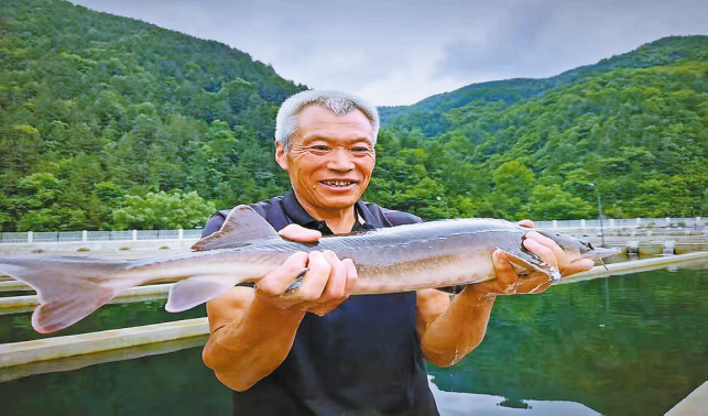養(yǎng)殖冷水魚(yú) 帶動(dòng)“熱經(jīng)濟(jì)”