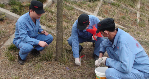 丹鳳對(duì)丹江河綠地進(jìn)行專業(yè)病媒生物消殺