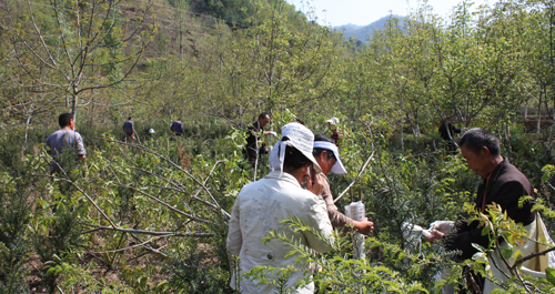 利用國家財政部獨家“大學(xué)技術(shù)推廣項目”