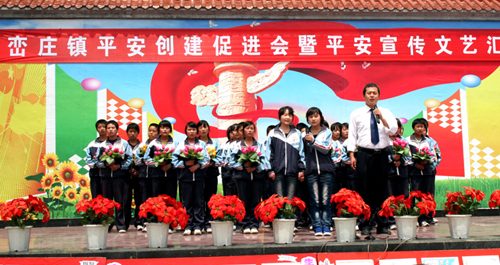 丹鳳巒莊鎮(zhèn)開展平安創(chuàng)建工作促進(jìn)會(huì)