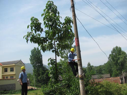 洛南縣城關(guān)鎮(zhèn)加強農(nóng)電安全排查備“三夏”