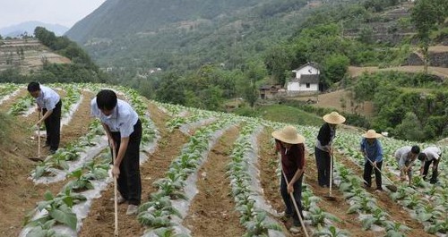 鎮(zhèn)安政法干警開展進(jìn)農(nóng)戶，幫致富活動(dòng)