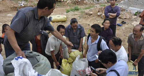 米糧鎮(zhèn)五味子喜獲豐收
