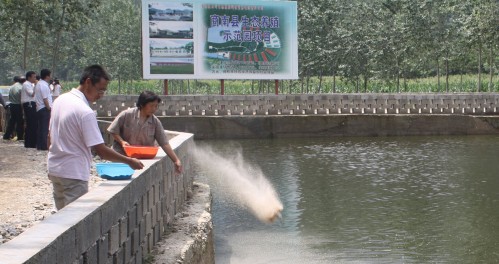 商南縣大力推動(dòng)循環(huán)農(nóng)業(yè)發(fā)展