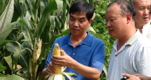 商南縣農(nóng)業(yè)局二十一名干部深入十里坪