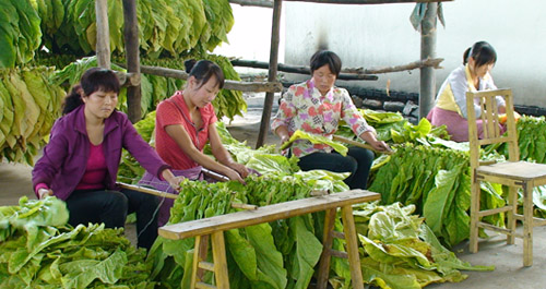 謝灣鎮(zhèn)動(dòng)員育齡婦女參加“五大產(chǎn)業(yè)”競(jìng)賽活動(dòng)