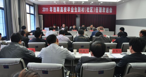 鎮(zhèn)安召開大學(xué)生村官歡送會