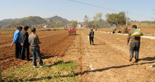 寺坡鎮(zhèn)推進(jìn)小麥高產(chǎn)示范點(diǎn)創(chuàng)建工作