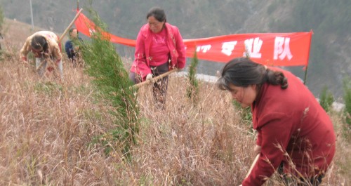 丹鳳縣組織三百多人參加專業(yè)造林隊(duì)