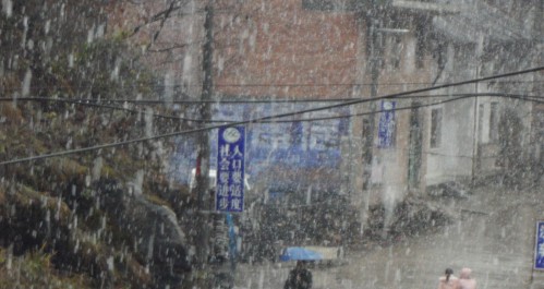 丹鳳北部各鎮(zhèn)普降大雪