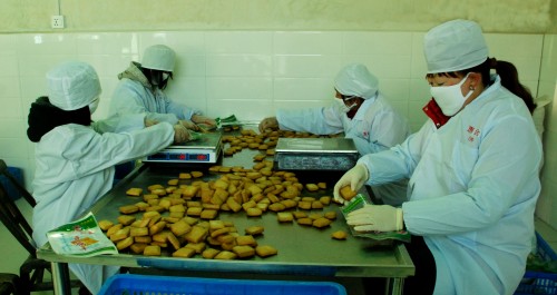 洛南縣新建兩家豆制品加工廠