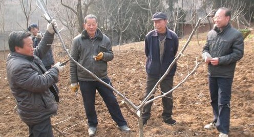 張底村里春意濃