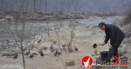 米糧鎮(zhèn)做強(qiáng)紅心鴨蛋產(chǎn)業(yè)