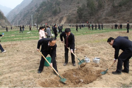山陽(yáng)縣檢察院干警積極參加植樹活動(dòng)