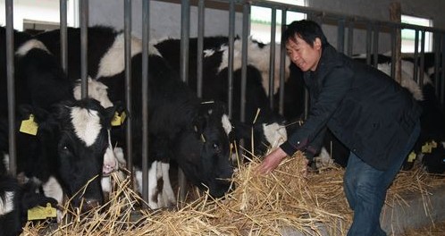 洋橋村的循環(huán)產(chǎn)業(yè)鏈