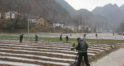 中央電視臺現(xiàn)場直播商州春耕生產(chǎn)