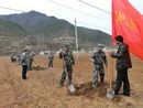 巡檢鎮(zhèn)民兵為群眾栽植核桃樹