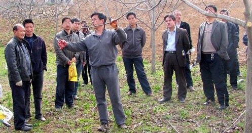 洛南縣政協(xié)深入包扶村