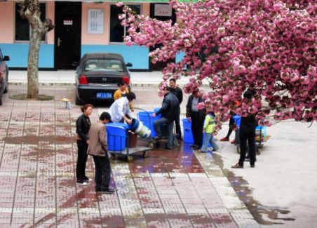 鳳鎮(zhèn)街村啟動(dòng)自來水改造工程