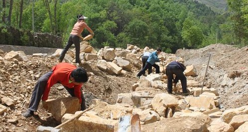 銀花鎮(zhèn)葉家灣村組織勞力搶修護田河堤
