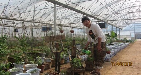 夜村鎮(zhèn)綠緣設(shè)施蔬菜大棚基地實行綜合農(nóng)業(yè)開發(fā)