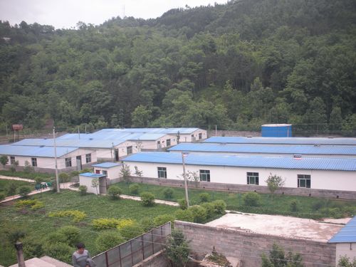 生豬養(yǎng)殖走上生態(tài)循環(huán)致富路