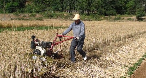 商南縣大力推廣小型小麥?zhǔn)崭顧C(jī)