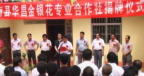 洛南華昌金銀花合作社舉行揭牌儀式