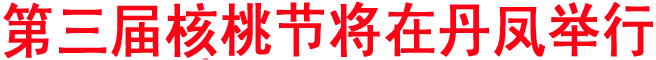 第三屆商洛核桃節(jié)將于今年舉行 丹鳳獲得舉辦權(quán)