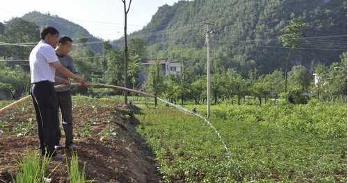 全力以赴 抗旱保秋