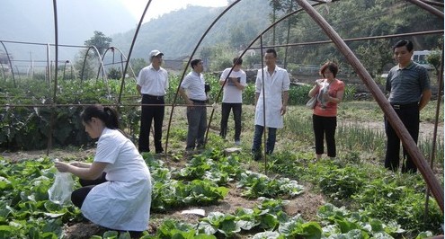 鎮(zhèn)安縣蔬菜生產(chǎn)基地進(jìn)行抽查檢測(cè)