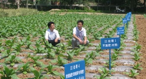 洛南縣農(nóng)技中心實(shí)施測土配方施肥項(xiàng)目