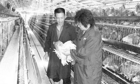 商南縣科技特派員幫助農民增收致富