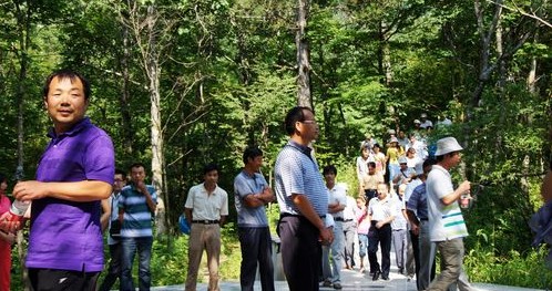 鎮(zhèn)安縣木王國家森林公園成為休閑避暑好去處