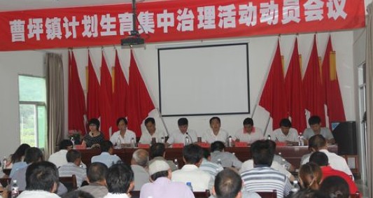 柞水縣曹坪鎮(zhèn)積極開展夏季計劃生育集中治理