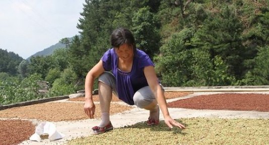 柞水縣：靠山養(yǎng)山促民增收