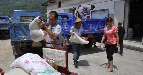 鎮(zhèn)安縣米糧鎮(zhèn)上門發(fā)放五保金