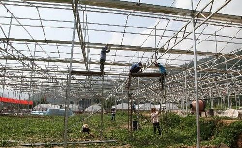 鎮(zhèn)安強力推進(jìn)鎮(zhèn)云生態(tài)循環(huán)高效現(xiàn)代農(nóng)業(yè)產(chǎn)業(yè)園建設(shè)