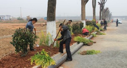 商州區(qū)省級重點鎮(zhèn)建設(shè)進展快速推進