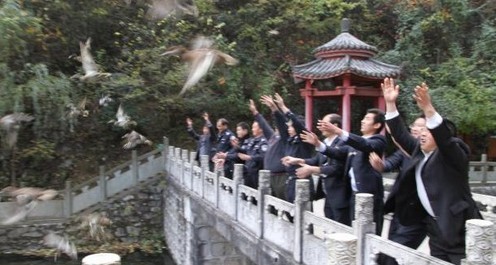 商南放歸獲救野鴨百余只