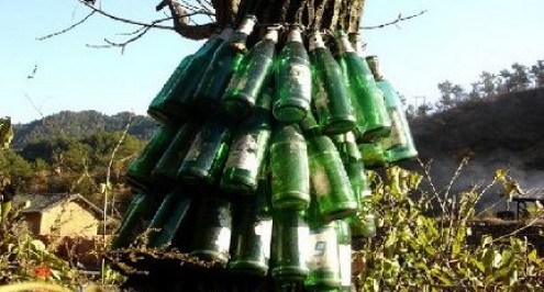 丹鳳農民防鼠出奇招