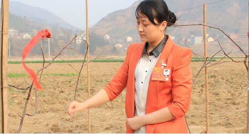 從土門村到人民大會堂