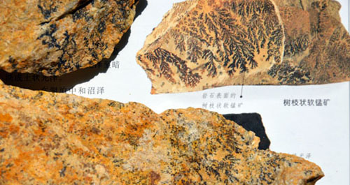 洛南發(fā)現(xiàn)的樹紋化石其實(shí)是錳礦