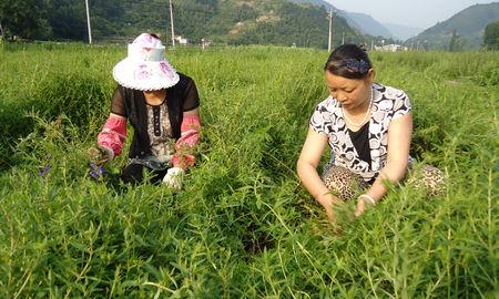 山陽實施計生家庭創(chuàng)業(yè)工程扶持計生家庭脫貧致富